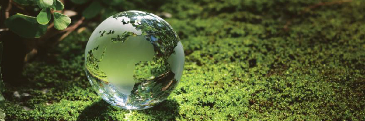 A Practical Guide for Businesses