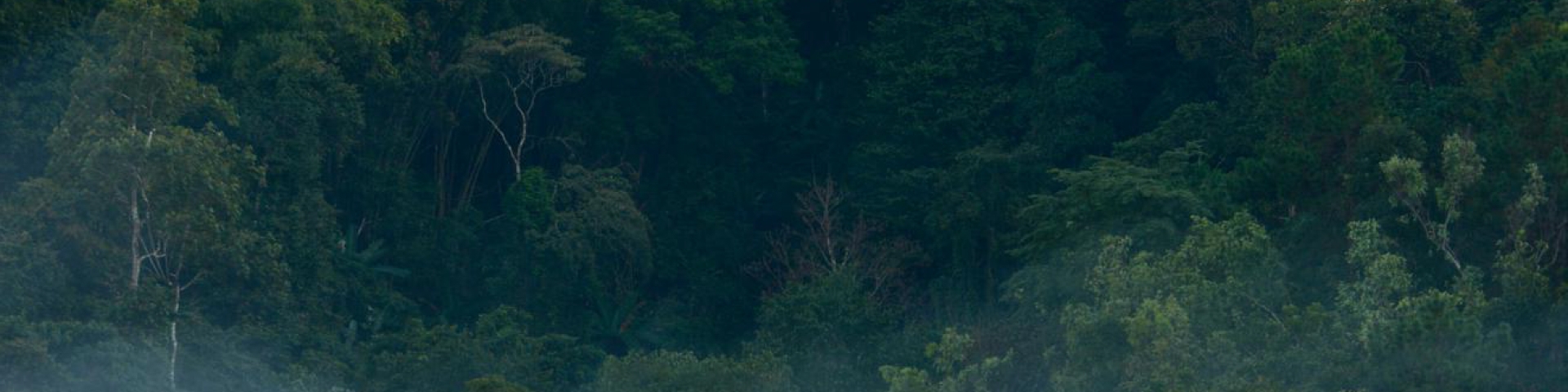 ESG is not just a trend