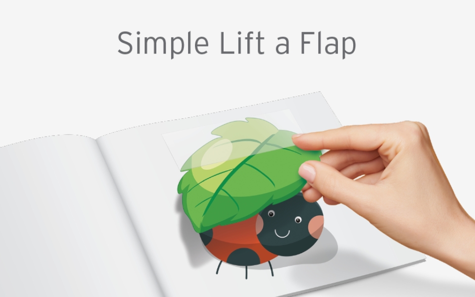 Simple Lift-a-Flap