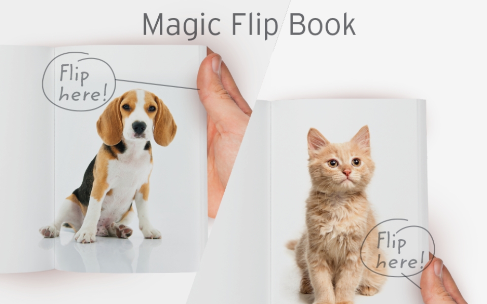 Magic Flip Book